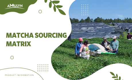 Matcha Sourcing Matrix: Key Variables Influencing Price per Kilogram.