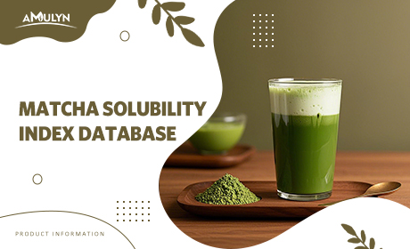 Matcha Solubility Index Database: Cold Water vs. Hot Water Performance.
