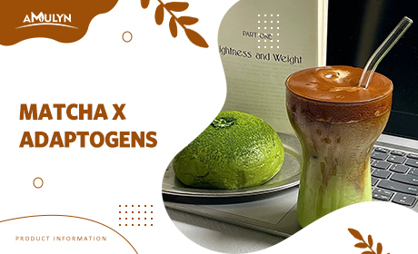 Matcha x Adaptogens: Formulating Stress-Relief Beverages with Ashwagandha, Reishi, and Lion's Mane.