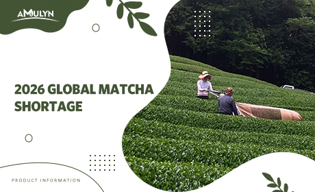 he Global Matcha Shortage of 2026: Why Your Tin Doubled in Price