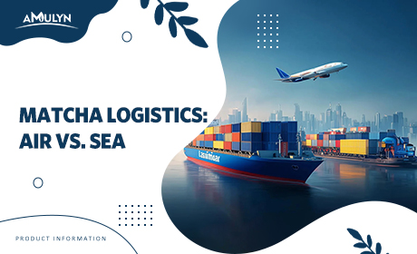 Air Freight vs. Sea Freight for Matcha: Balancing Cost, Speed, and Quality