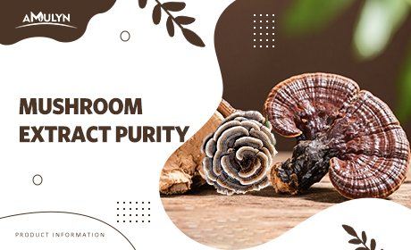 Turkey Tail vs. Reishi: How to Evaluate Beta-Glucan Purity in Bulk Mushroom Extract Shipments