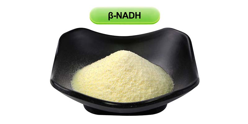 β-NADH (Reduced Form)