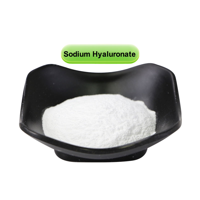 Sodium Hyaluronate (HA) Powder