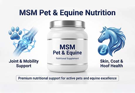 AMULYN MSM Pet & Equine Nutrition