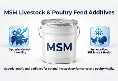 AMULYN MSM Livestock & Poultry Feed Additives