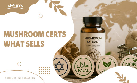 Mushroom Certifications That Drive Consumer Choice: What Actually Sells in 2026?