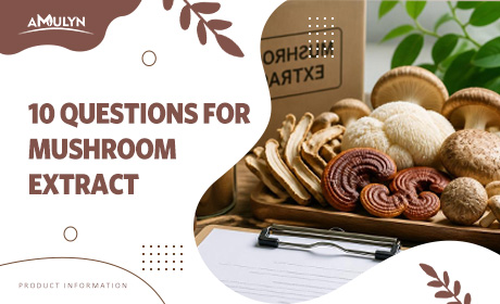 10 Questions Every Buyer Should Ask Before Signing a Mushroom Extract Supply Contract