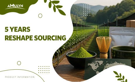 How the 5-Year Lead Time for Tencha Plants Is Reshaping B2B Matcha Procurement