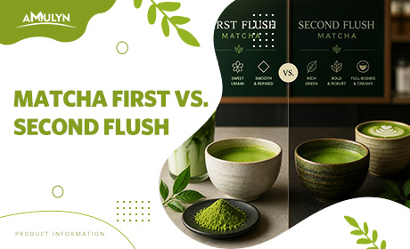 First Flush vs. Second Flush Matcha: Why Your Café Menu Strategy Depends on Knowing the Difference