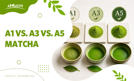 A1 vs. A3 vs. A5 Matcha: Understanding the Unofficial Grading System Used by Industry Insiders