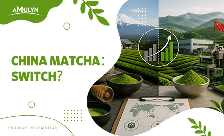 China's Matcha Production Is Catching Up to Japan—Should Your B2B Sourcing Strategy Shift?