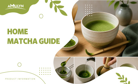 How to Make Matcha at Home: A Beginner‘s Guide to the 1300% Search Spike