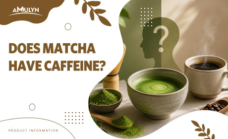 Does Matcha Have Caffeine? What You Need to Know Before Switching