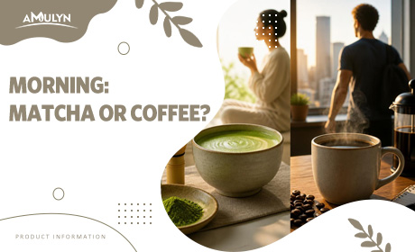 Matcha vs. Coffee: Which One Actually Fits Your Morning Routine?