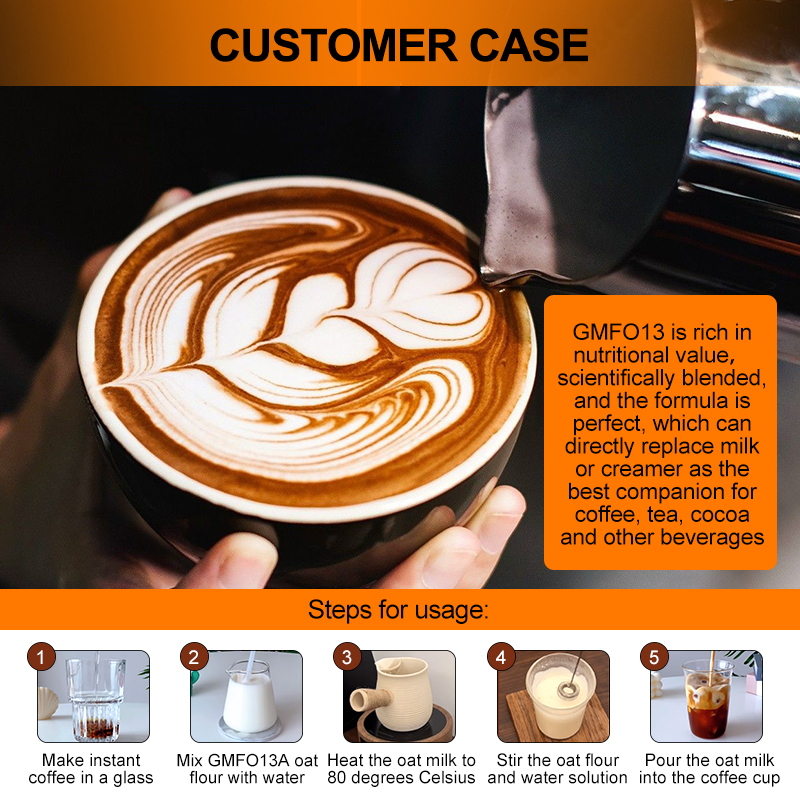 GMFO13A Oat Milk Powder