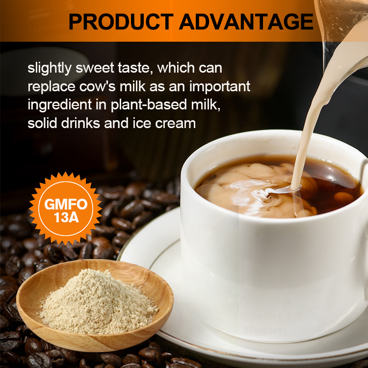 GMFO13A Oat Milk Powder