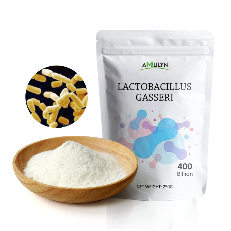 Lactobacillus Gasseri Probiotics Powder