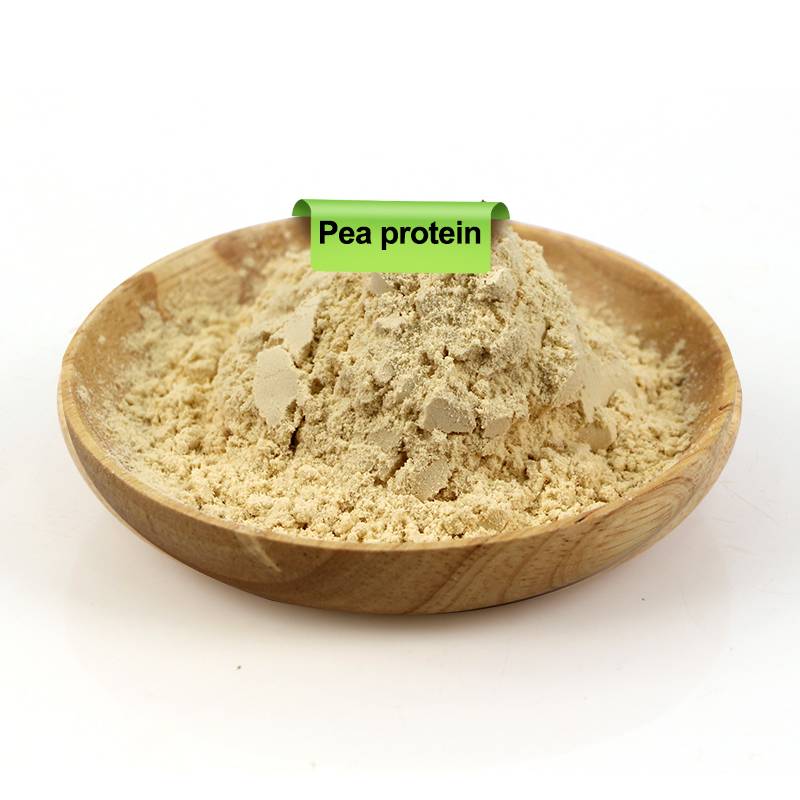 Pea Protein 