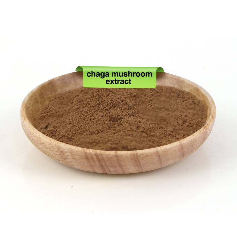 Chaga Mushroom Powder