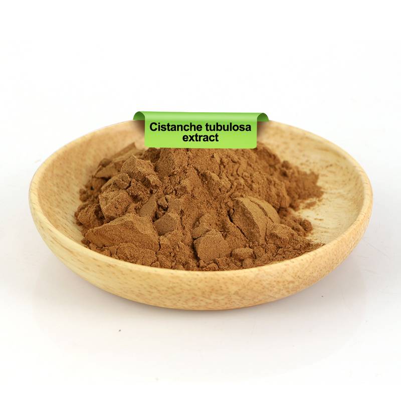 Cistanche Tubulosa Extract