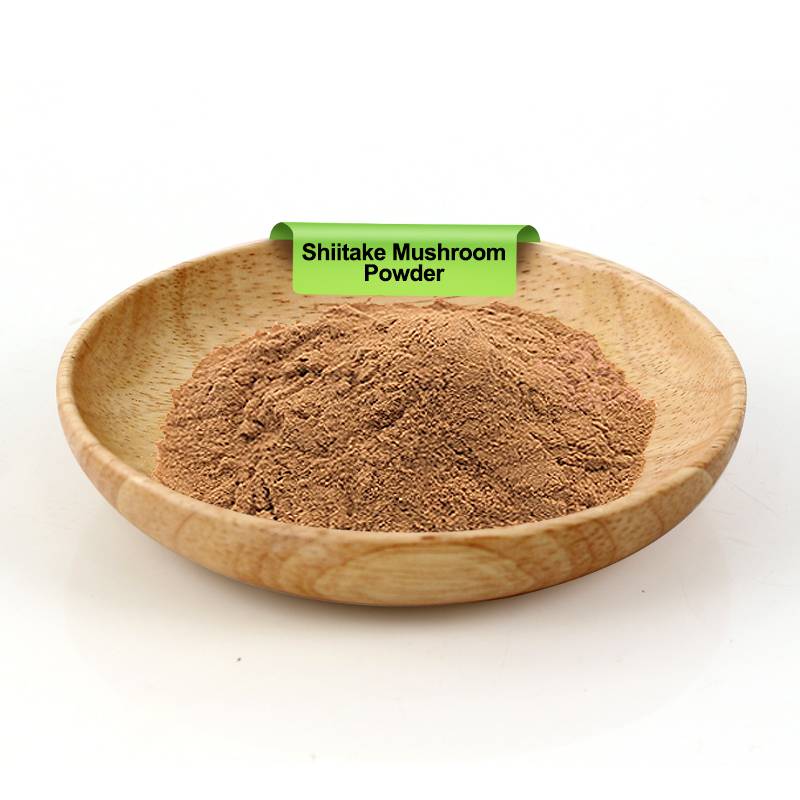 Shiitake Mushroom Powder
