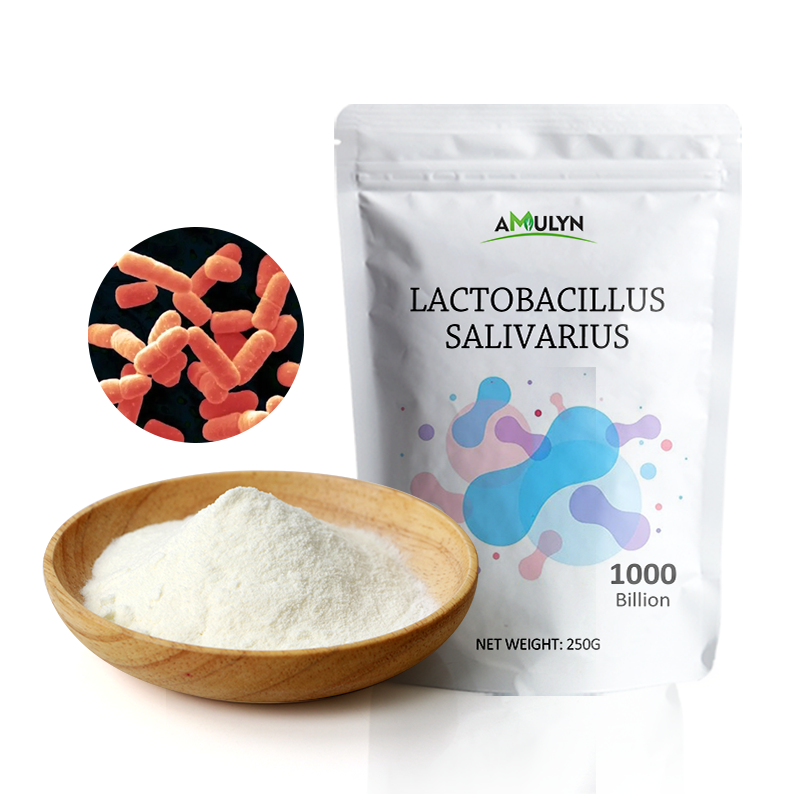 Lactobacillus Salivarius Probiotics Powder