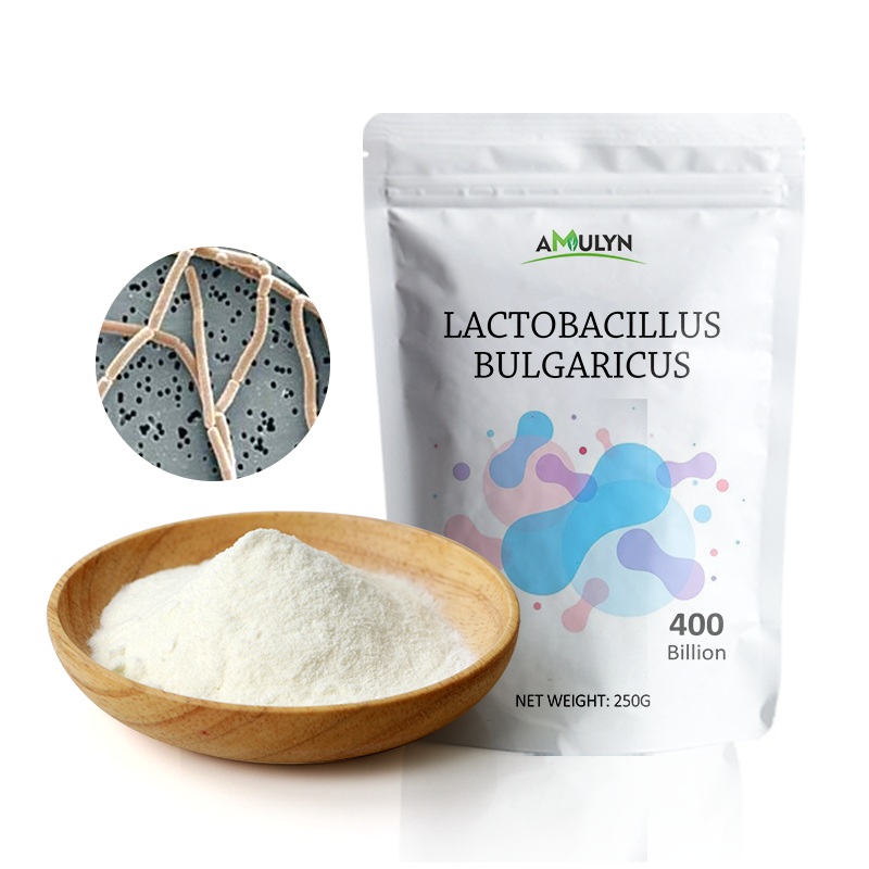 Lactobacillus Bulgaricus Probiotics Powder