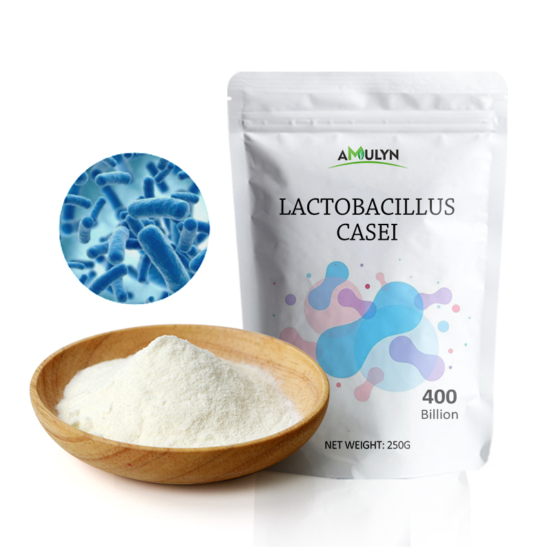 Lactobacillus Casei Probiotics Powder