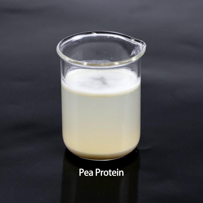Pea Protein 