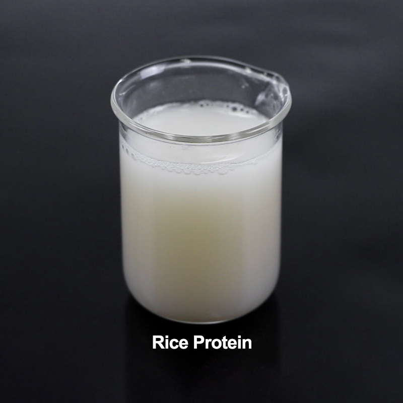 Rice Protein