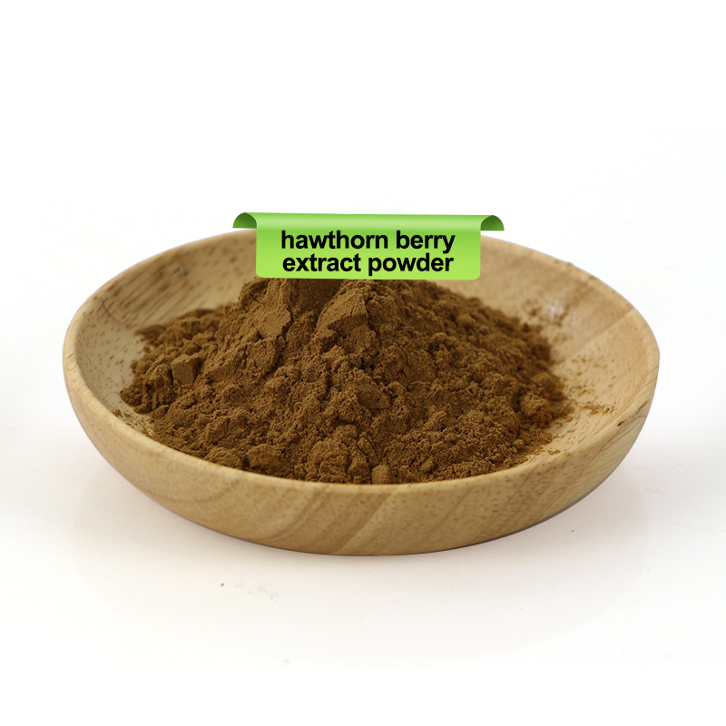 Hawthorn Berry Extract Powder