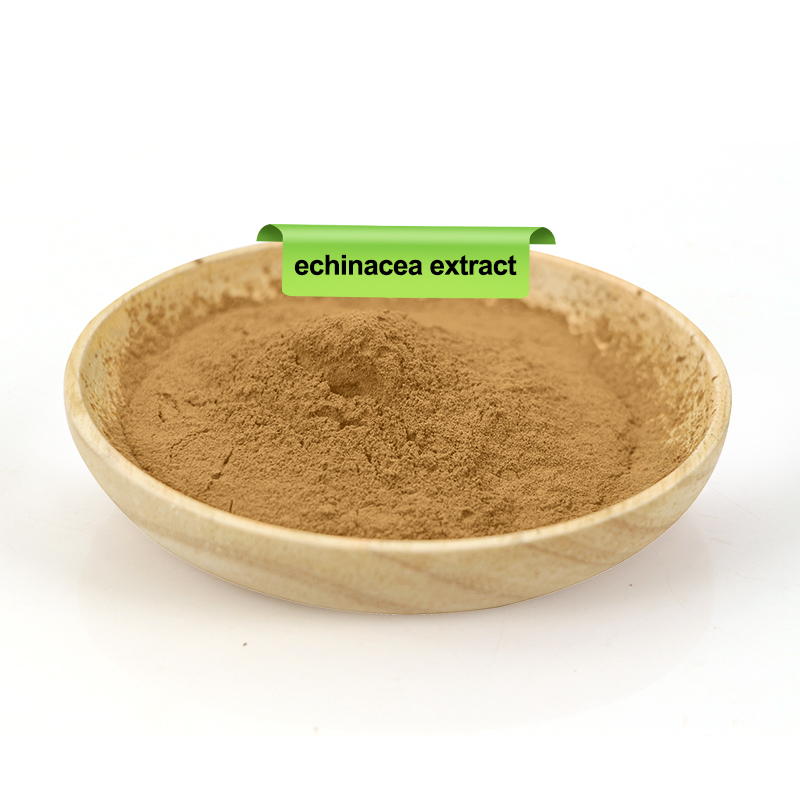 Echinacea Extract
