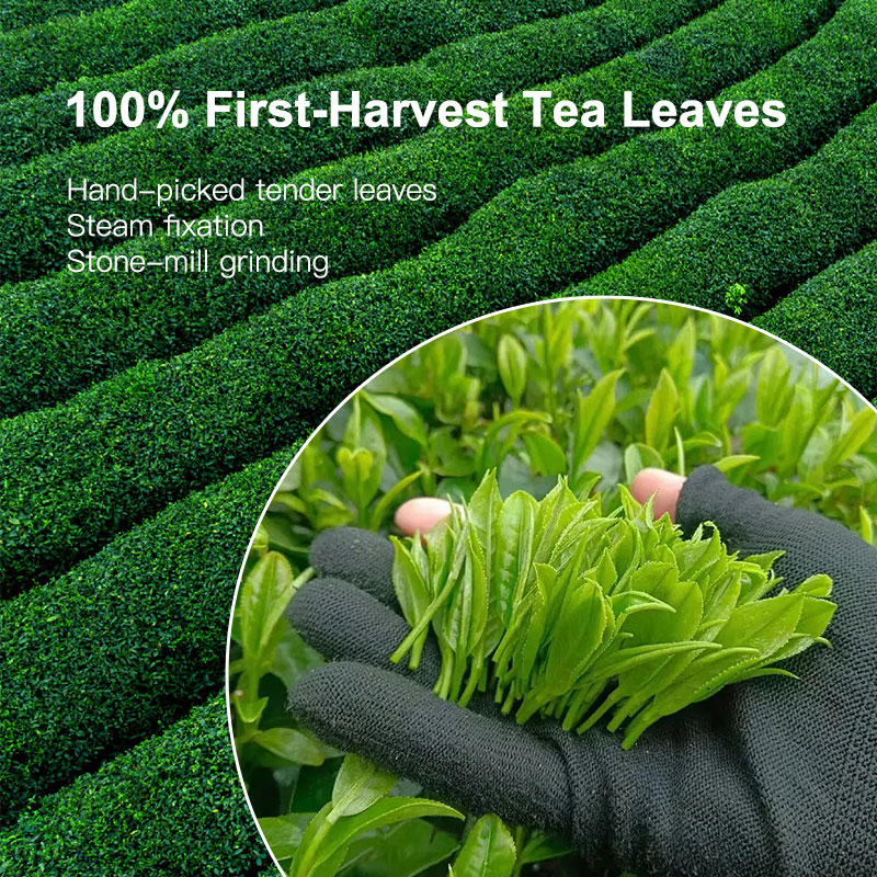 Koicha Ceremonial Grade Matcha Powder