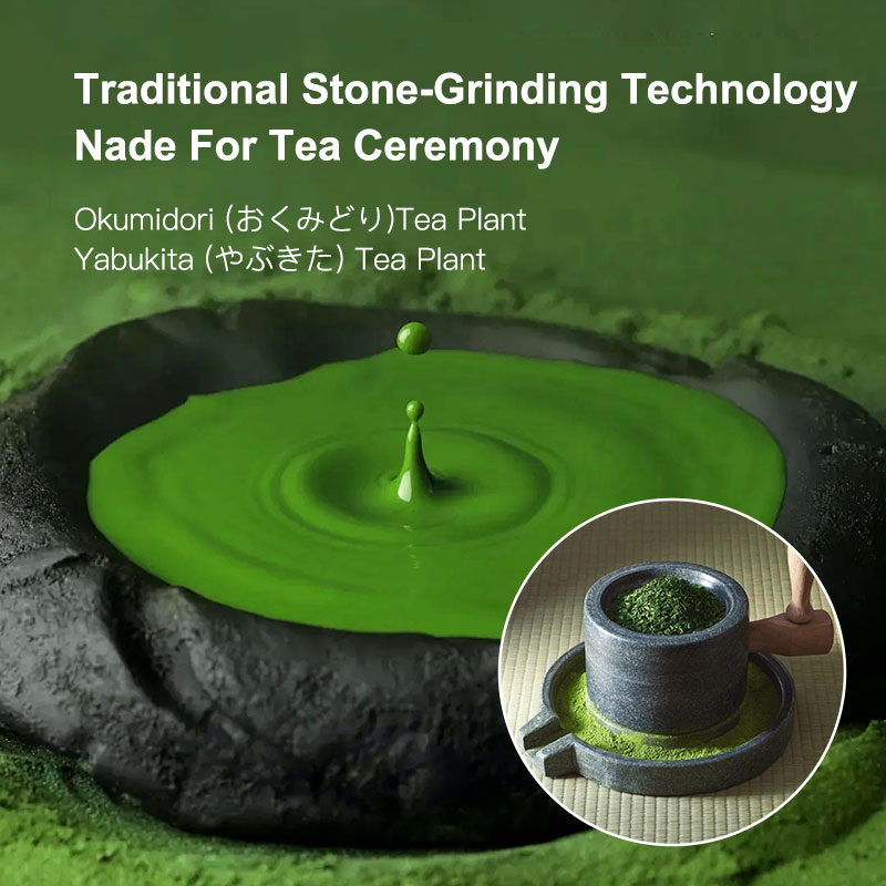 Koicha Ceremonial Grade Matcha Powder