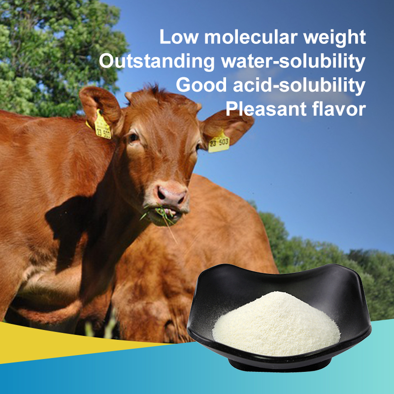 Bovine Collagen Peptide