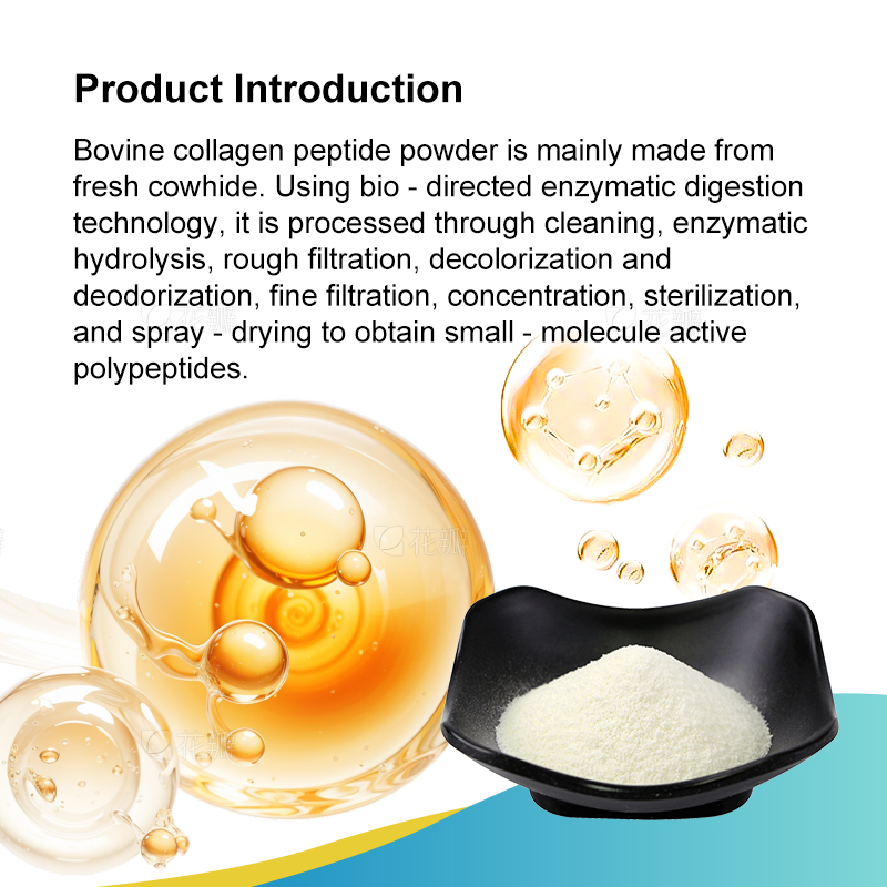 Bovine Collagen Peptide