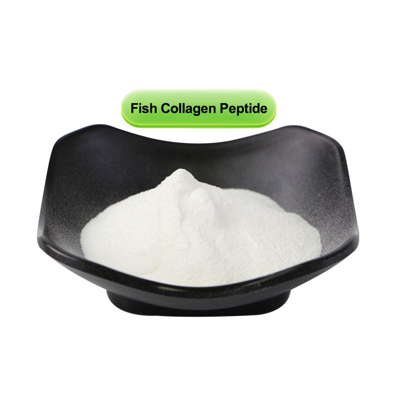 Fish Collagen Peptide