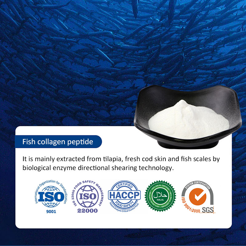 Fish Collagen Peptide
