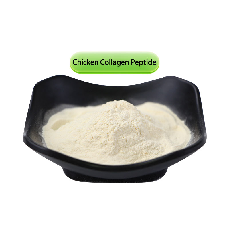 Chicken Collagen Peptide (Hydrolyzed Type II Collagen)