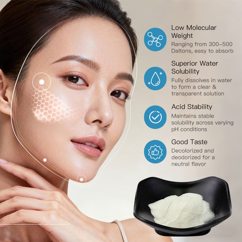 Collagen Tripeptide