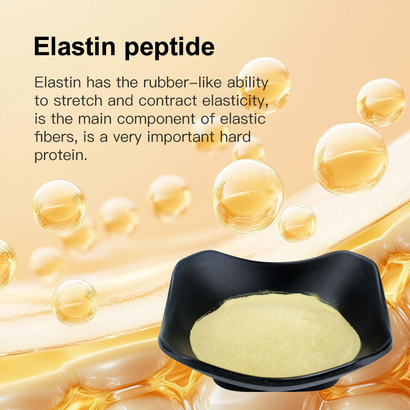Elastin Collagen Peptide