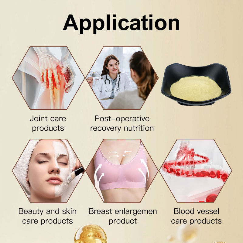 Elastin Collagen Peptide