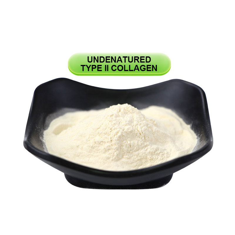 Undenatured Type II Collagen