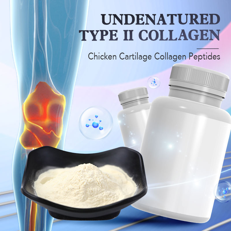 Undenatured Type II Collagen