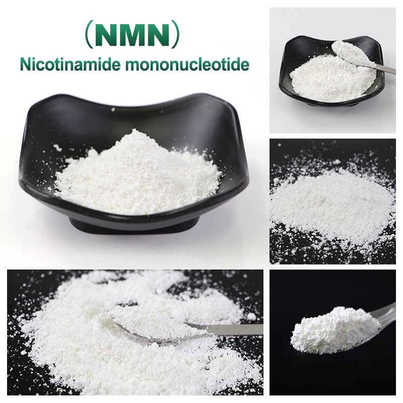 β-Nicotinamide Mononucleotide