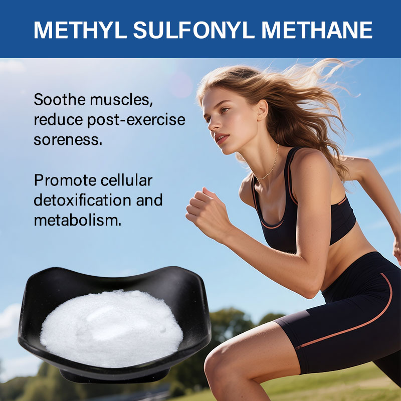MSM Powder (Methylsulfonylmethane)