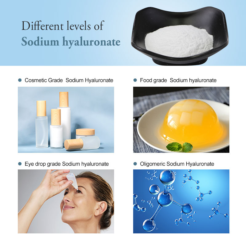 Sodium Hyaluronate (HA) Powder