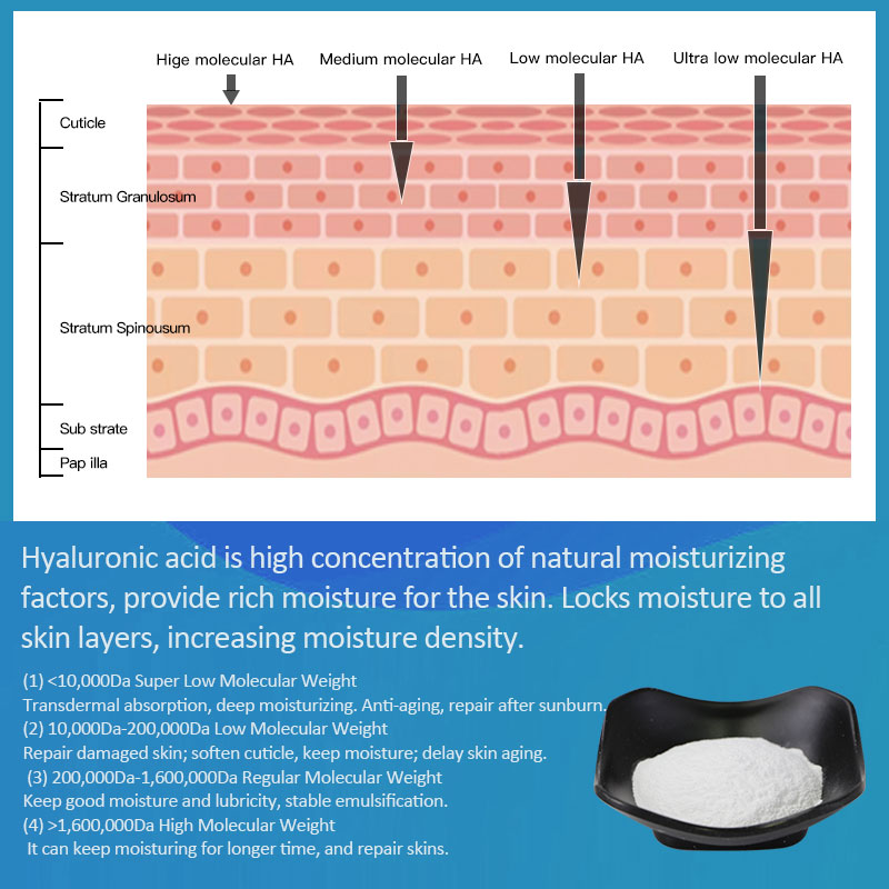 Sodium Hyaluronate (HA) Powder