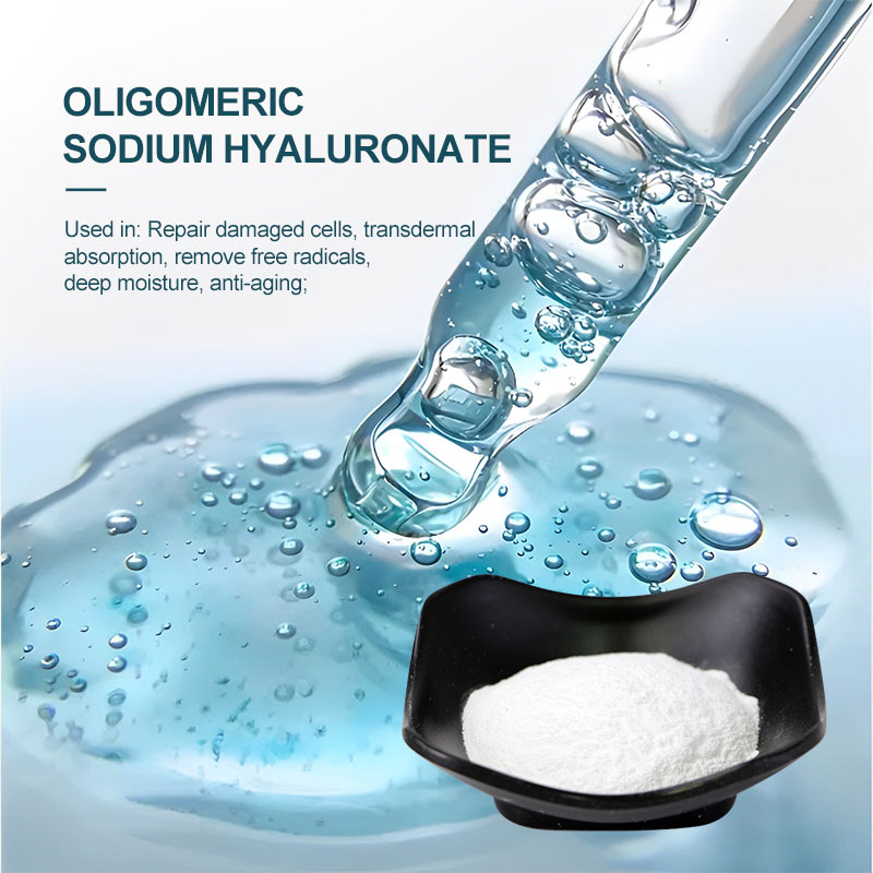 Sodium Hyaluronate (HA) Powder